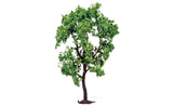 Pear Tree - 7.5cm